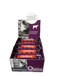 Obiflore, bolus pour vaches à haute performance utilisé pour palier aux risques de perturbations digestives, acidose notamment.
