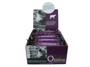 Obitarie bolus composé d’oligo-éléments et vitamines pour les vaches laitières lors du tarissement