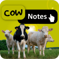 Cow Notes, surveillance et suivi de troupeaux laitiers et allaitants