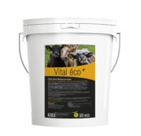 Vital Éco+ aliment complémentaire utilisé lors de besoins d’apports complémentaires en oligo-éléments et vitamines en fin de gestation des vaches