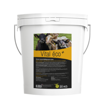 Vital Éco+ aliment complémentaire utilisé lors de besoins d’apports complémentaires en oligo-éléments et vitamines en fin de gestation des vaches
