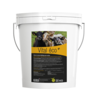 Vital Éco+ aliment complémentaire utilisé lors de besoins d’apports complémentaires en oligo-éléments et vitamines en fin de gestation des vaches