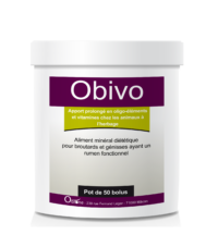 Obivo 50 bolus mise à l’herbe pour les veaux