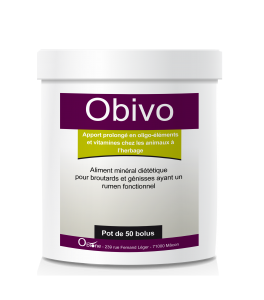 Obivo 50 bolus mise à l’herbe pour les veaux