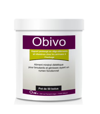 Obivo 50 bolus mise à l’herbe pour les veaux