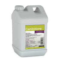 Carnitobione pour les troubles de la digestion et les diarrhées du veau
