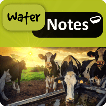 Water Notes