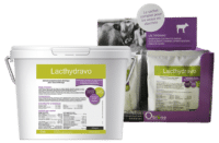 lacthydravo préserver l'apport énergétique veaux risques de troubles digestifs diarrhé