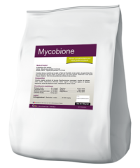 Obione - Gestion des risques de mycotoxines