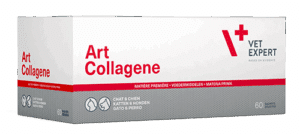 Art-Collagene