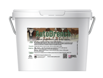 AUTODRENCH
