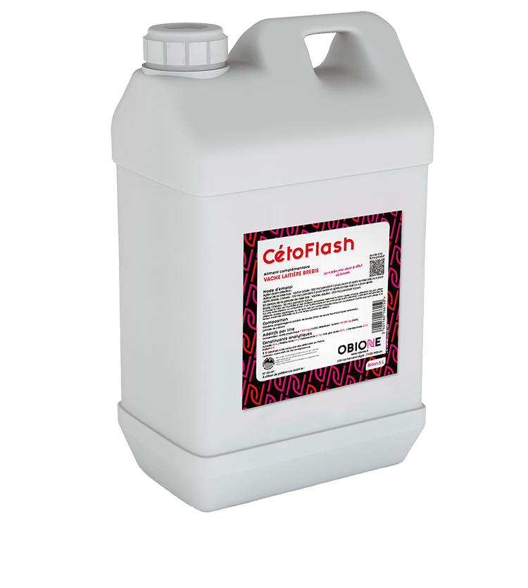 CétoFlash, aliment complémentaire pour vaches et brebis pour réduire les risques de cétose