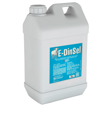 E-DINSEL