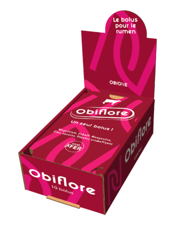 OBIFLORE