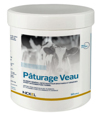 Pâturage Veau