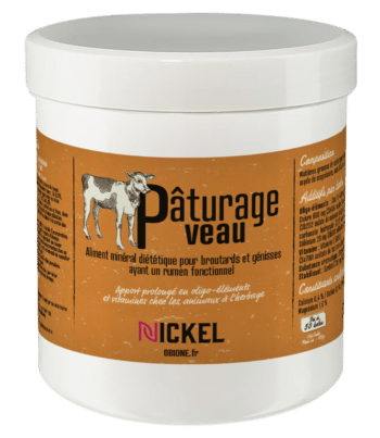 Pâturage Veau