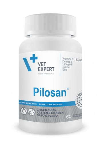 Pilosan