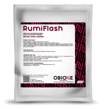 RumiFlash, aliment complémentaire pour vaches pour relancer le rumen et la rumination