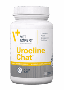 Urocline Chat