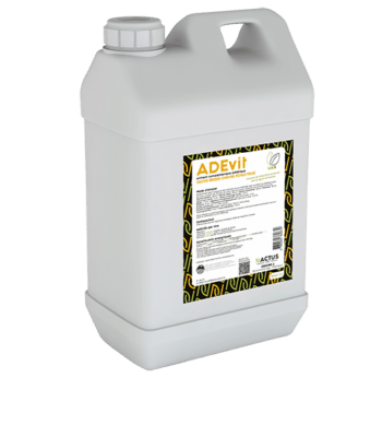 Adevit prévention des déséquilibres nutritionnels Obione