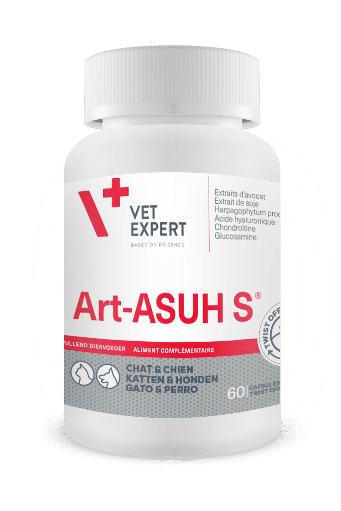 Art-ASUH S