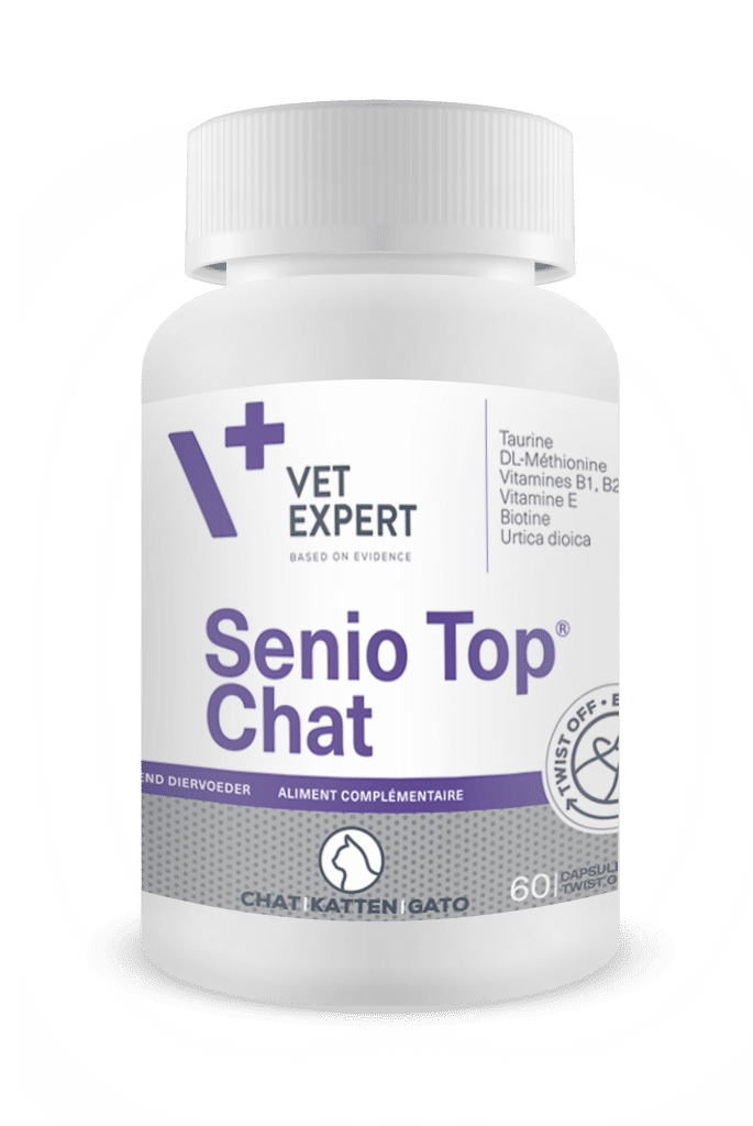 Senio Top Chat