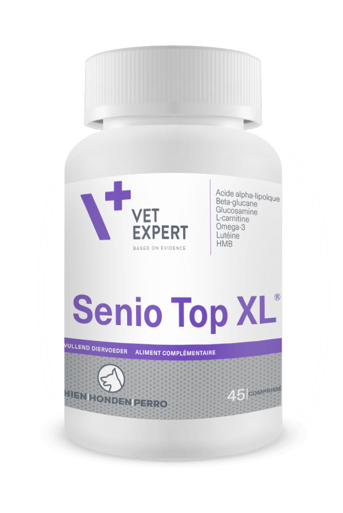 Senio Top XL