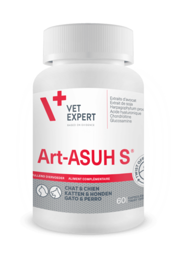 Art-ASUH S
