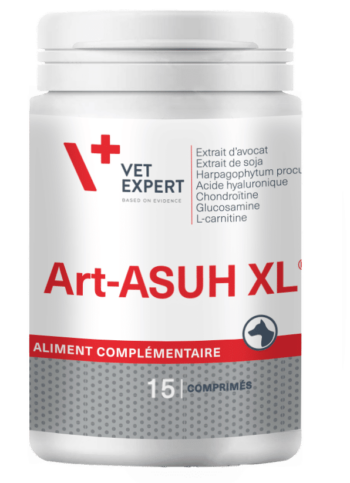 Art-ASUH XL