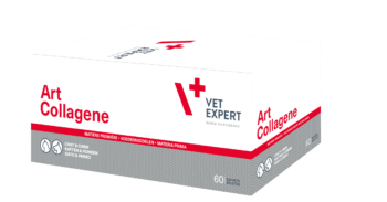 Art-Collagene