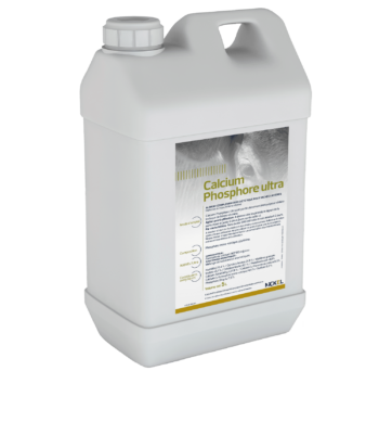 CALCIUM PHOSPHORE ULTRA