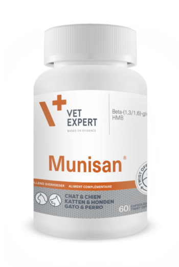 Munisan