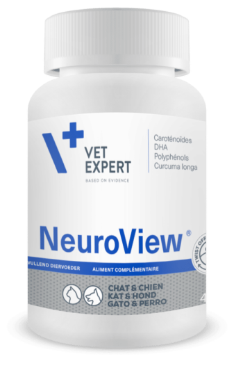 NeuroView