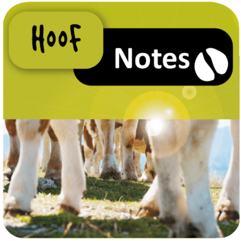 Hoof Notes