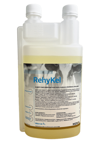 RéhyKel