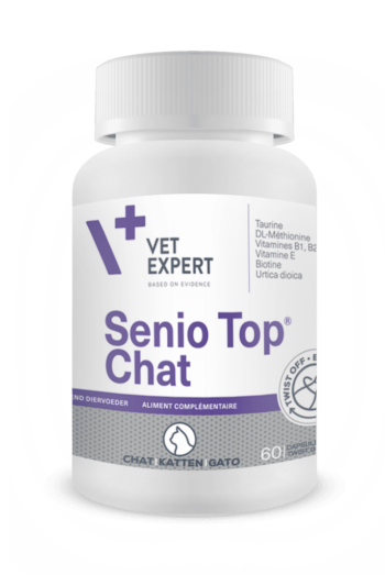 Senio Top Chat