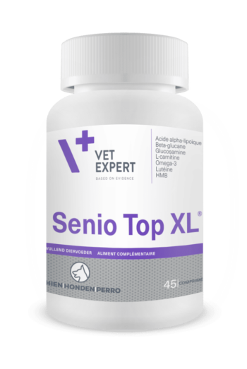 Senio Top XL