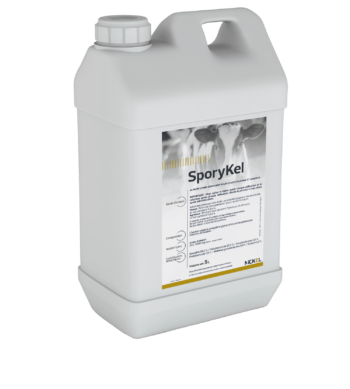 SporyKel