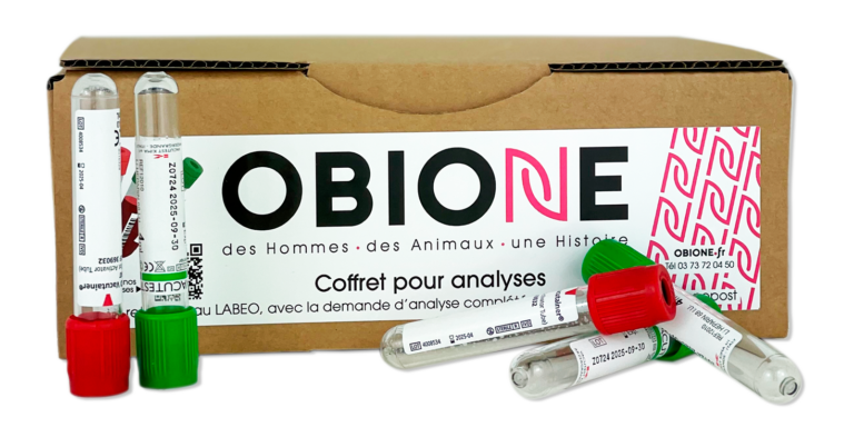 carencias en vacas y terneros