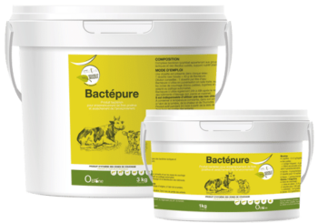 BACTEPURE