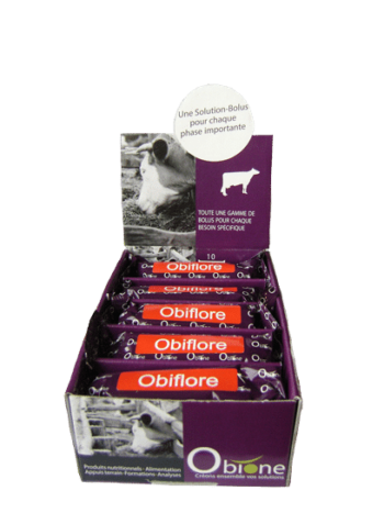 OBIFLORE