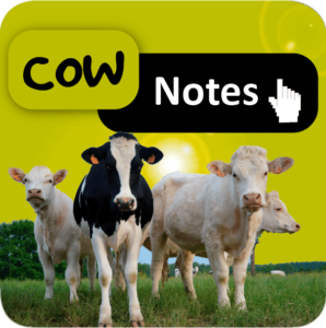Cow Notes