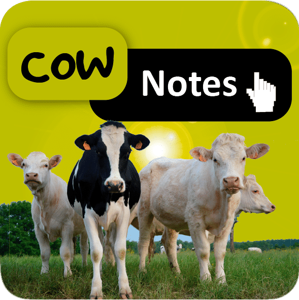 Cow Notes