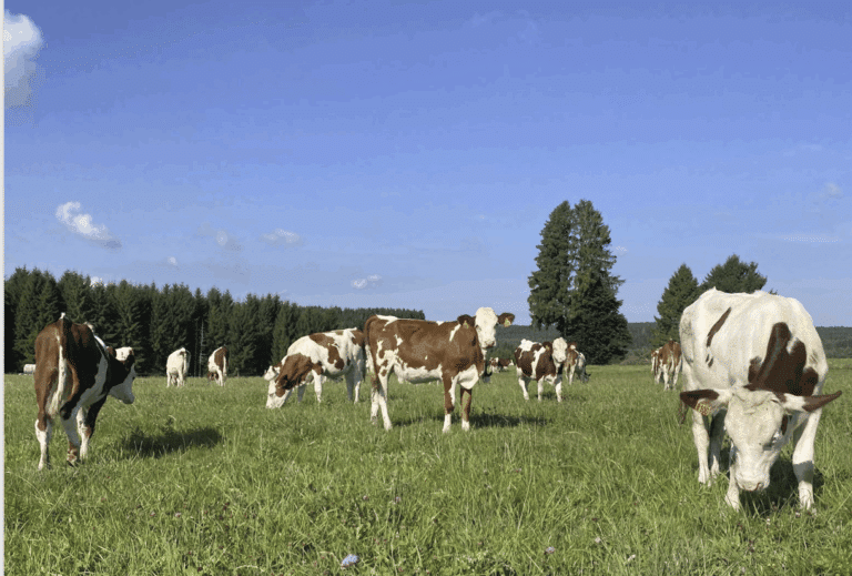 Capture d’écran 2025-10-27 à 11.51.29