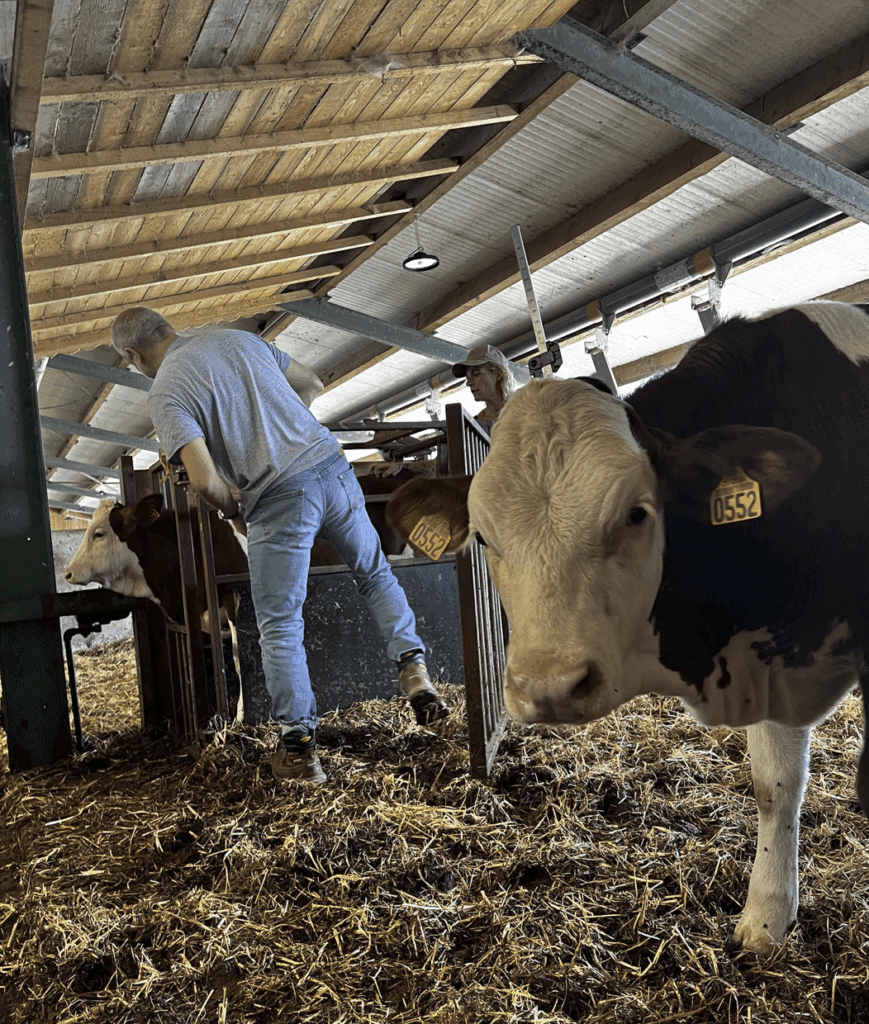 Capture d’écran 2025-10-27 à 15.15.18